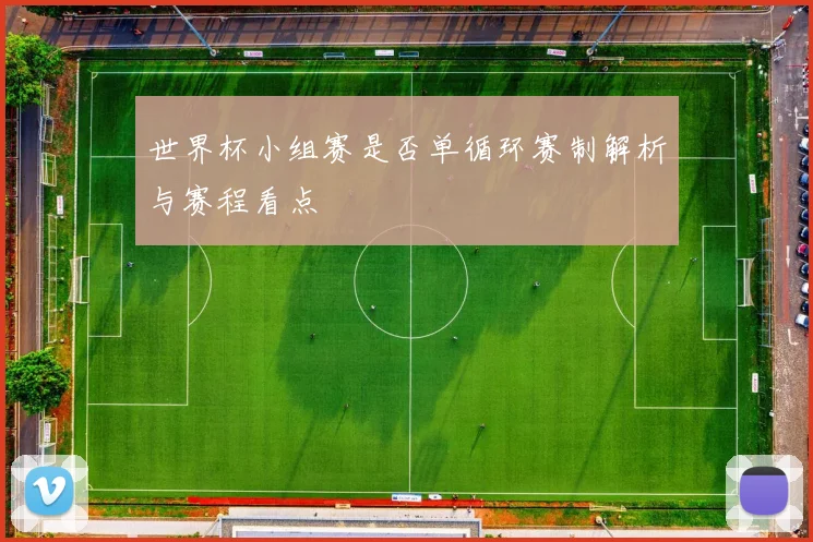 世界杯小组赛是否单循环赛制解析与赛程看点