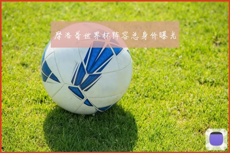 摩洛哥世界杯阵容总身价曝光