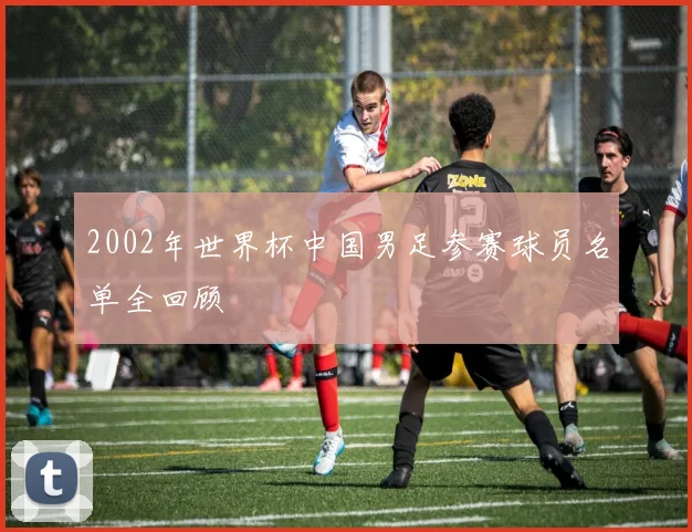 2002年世界杯中国男足参赛球员名单全回顾
