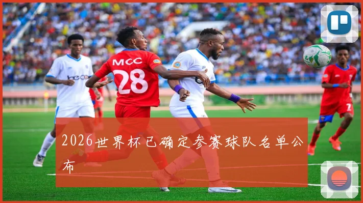 2026世界杯已确定参赛球队名单公布