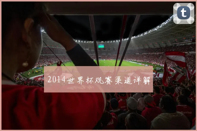 2014世界杯观赛渠道详解